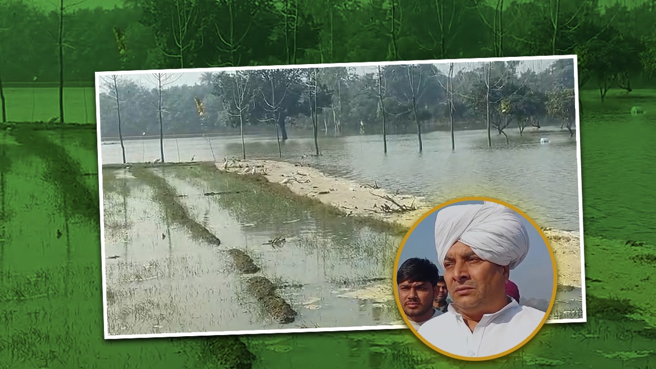 स्याना में माइनर नहर कटने से किसानों की हजारों बीघा फसल डूबी, मुआवज़े की मांग तेज