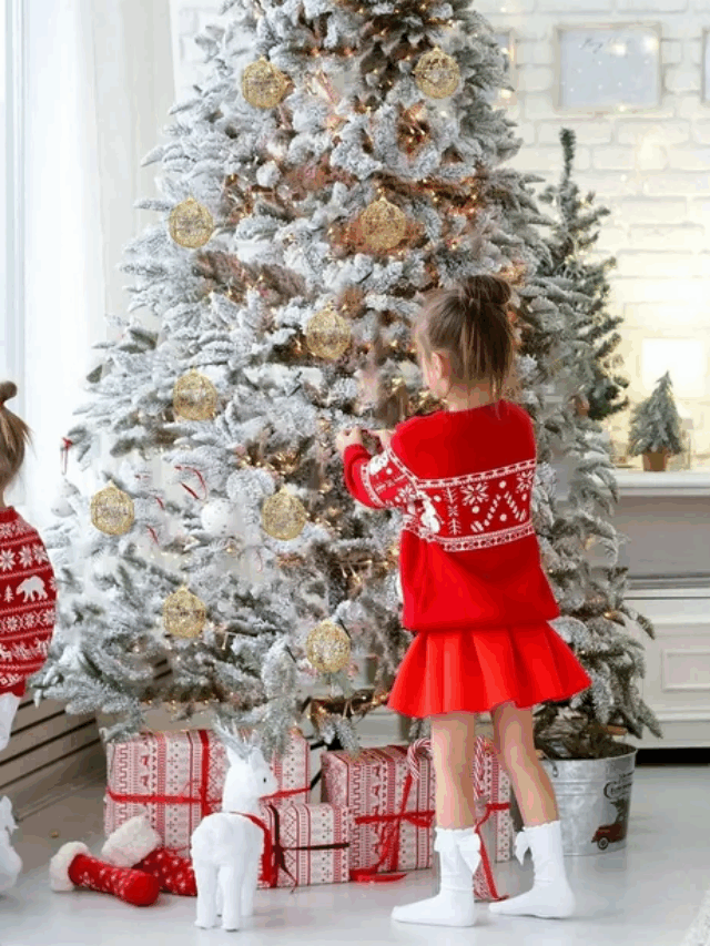 क्रिसमस पर सबसे सुदर दिखेगा आपका घर, ऐसे करें डेकोरेशन