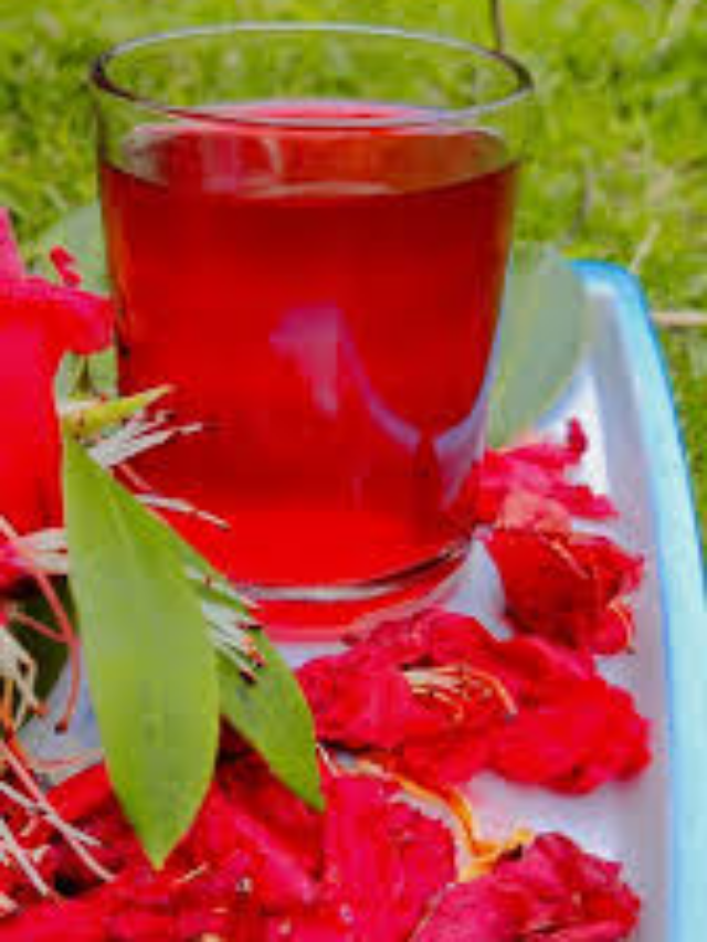 उत्तराखंड का प्रसिध्द बुरांश का जूस पीने के फायदे