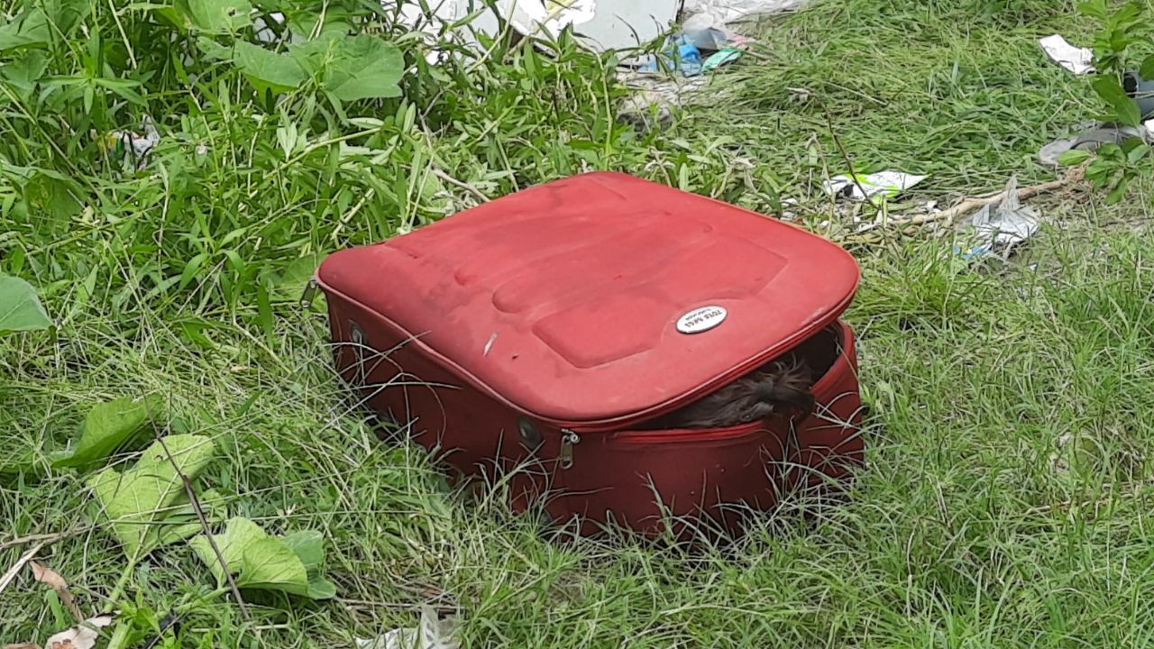 48 घंटे हो गए, लेकिन अभी तक नोएडा पुलिस खाली हाथ, आखिर कब होगा “सूटकेस हत्याकांड” का खुलासा?