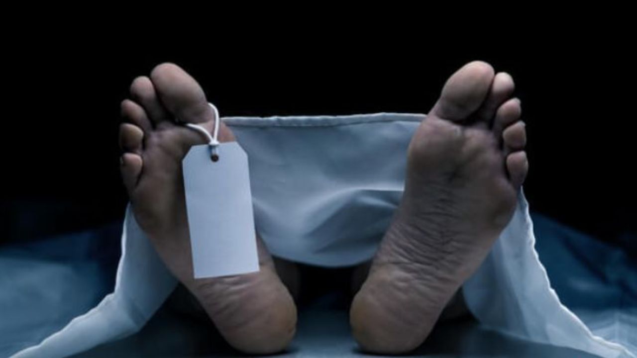 तमिलनाडु: बीमा राशि के लिए बेटों ने करवाई पिता की हत्या, जहरीले सांप से कटवाया