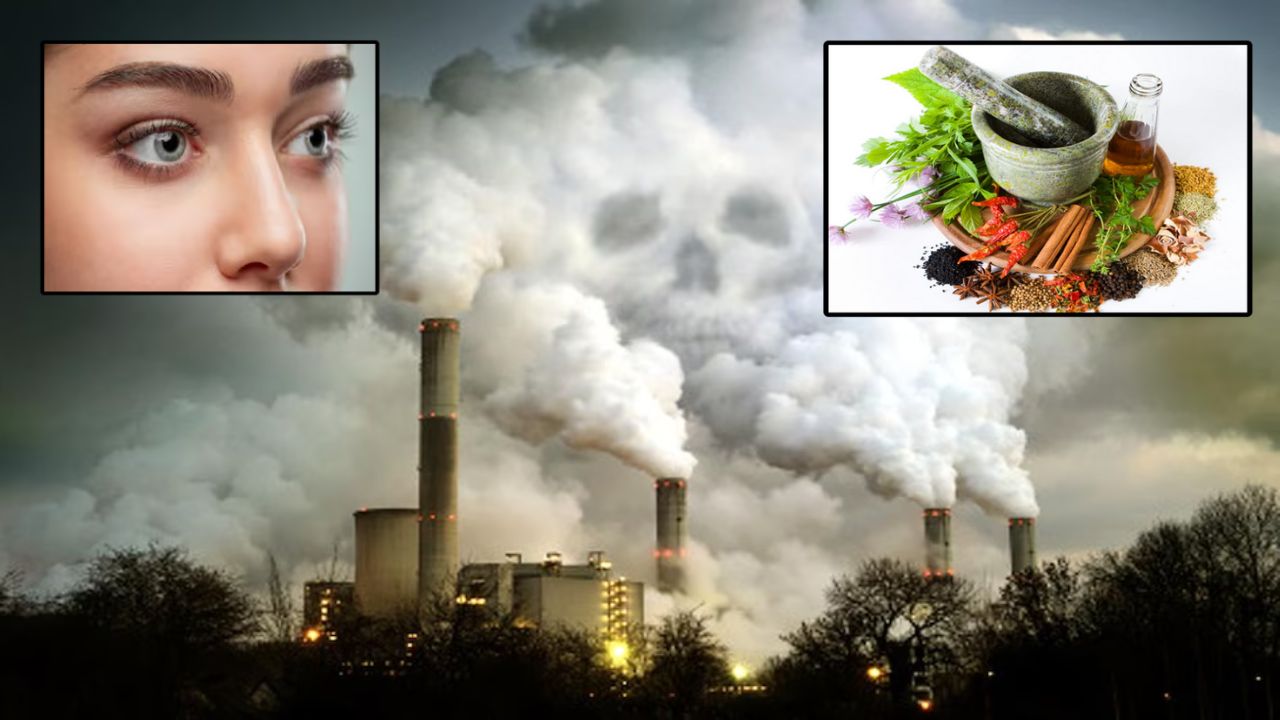 बढ़ा पॉल्यूशन बना आंखों के लिए खतरा? ये आयुर्वेदिक उपाय देंगे खुजली और जलन से राहत