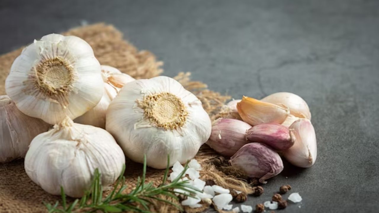 लहसुन में एलिसिन और सेलेनियम जैसे तत्व मौजूद होते हैं, जो लिवर डिटॉक्स में विशेष भूमिका निभाते हैं। यह लिवर एंजाइम्स को सक्रिय कर शरीर में जमा हानिकारक तत्वों को बाहर निकालने में सहायता करता है। एंटीऑक्सीडेंट्स से भरपूर लहसुन लिवर को ऑक्सीडेटिव स्ट्रेस से भी बचाता है। (Img: Google) लहसुन में एलिसिन और सेलेनियम जैसे तत्व मौजूद होते हैं, जो लिवर डिटॉक्स में विशेष भूमिका निभाते हैं। यह लिवर एंजाइम्स को सक्रिय कर शरीर में जमा हानिकारक तत्वों को बाहर निकालने में सहायता करता है। एंटीऑक्सीडेंट्स से भरपूर लहसुन लिवर को ऑक्सीडेटिव स्ट्रेस से भी बचाता है। (Img: Google)