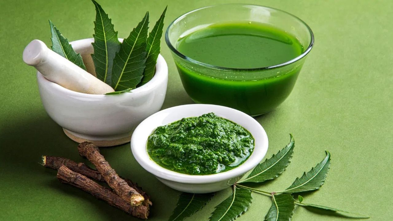 नीम की पत्तियां इम्यूनिटी बढ़ाने में मदद करती हैं। इसमें एंटी-बैक्टीरियल, एंटी-वायरल और एंटी-फंगल गुण पाए जाते हैं। यह शरीर को मौसमी बीमारियों और इन्फेक्शन से बचाती हैं। (फोटो सोर्स- इंटरनेट)