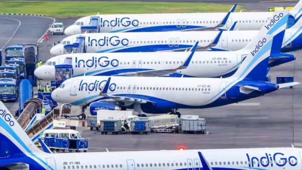 Indigo (Image: Google)