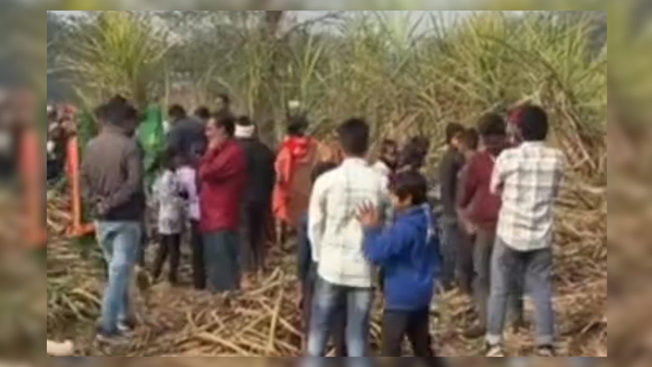 गन्ने के खेत में मिला सड़ा-गला शव, पौहरिया गांव में फैली सनसनी; हत्या की आशंका गहराई