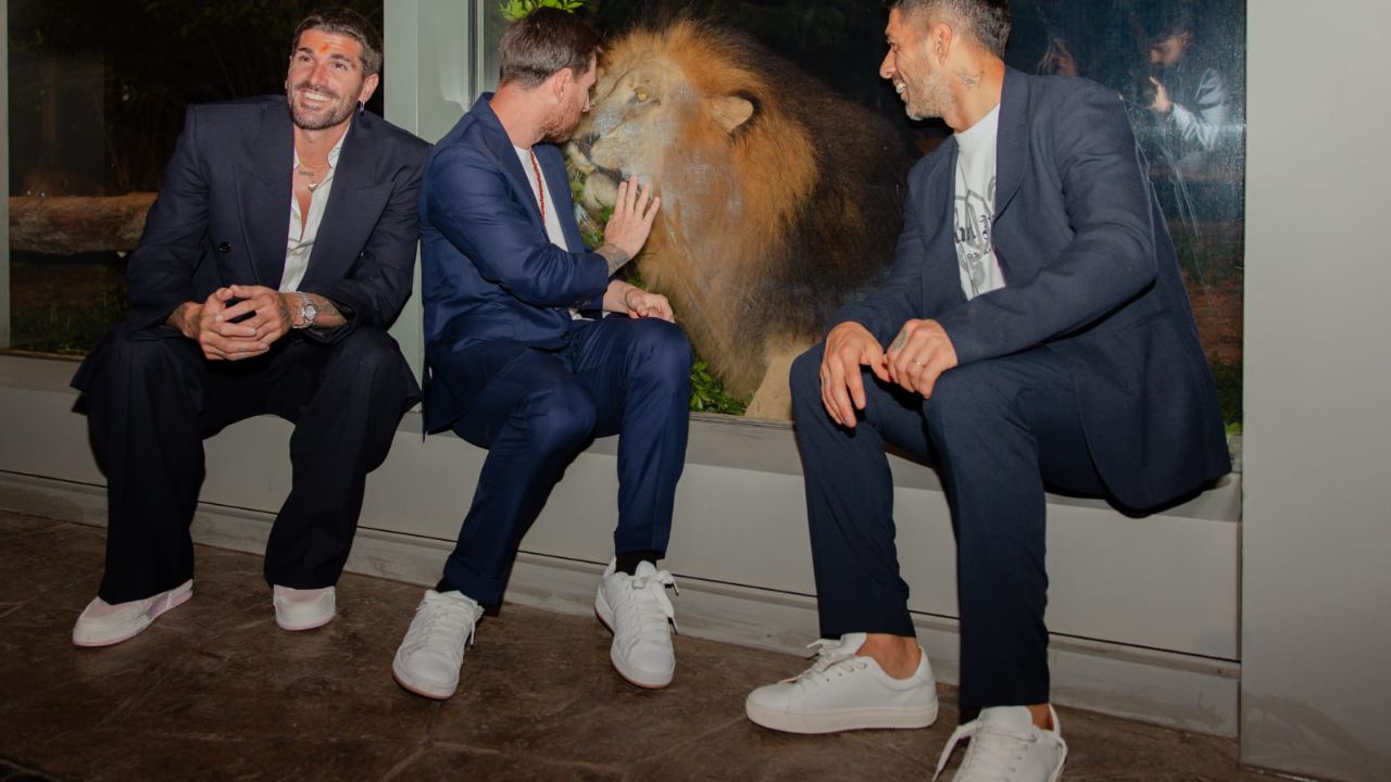 वंतारा में मेसी ने शेरों को भी देखा, जो अपनी प्राइड में शांति से बैठे थे। शेरों की गरिमा और ताकत ने मेसी और उनके साथियों को बहुत प्रभावित किया। उन्होंने शेरों की आदतों और व्यवहार को करीब से देखा और जानवरों के संरक्षण के महत्व को महसूस किया। (Img: X)