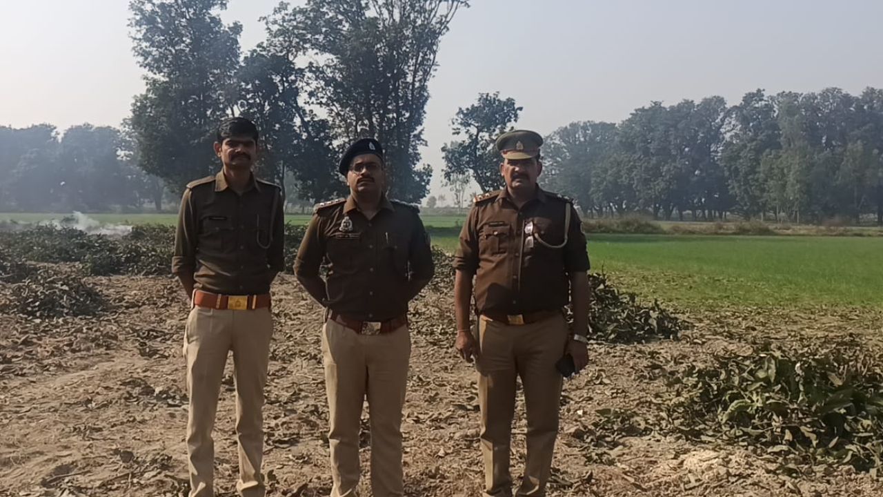 बुलंदशहर के पहासू में वन माफिया पर ताबड़तोड़ कार्रवाई, बिना परमिशन काटे 15 आम के पेड़; ट्रैक्टर ट्रॉली जब्त