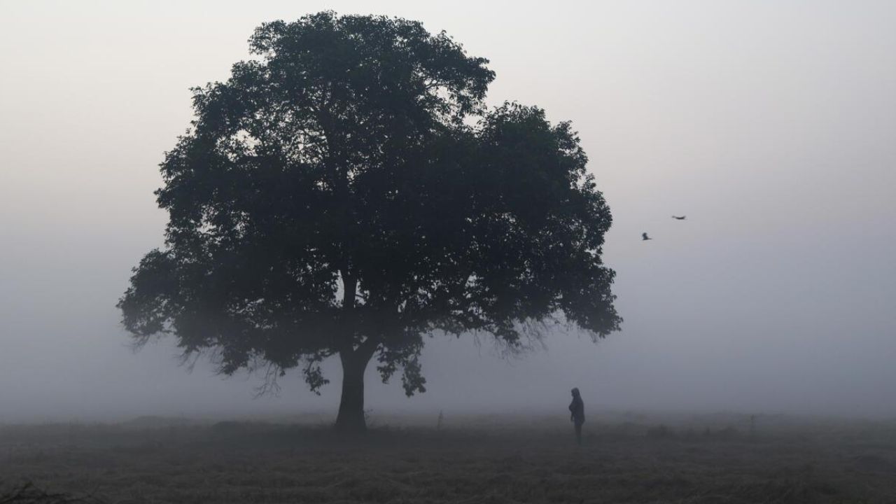 दिन के समय हल्की धूप राहत जरूर देती है, लेकिन जैसे ही सूरज ढलता है, शीतलहर का असर बढ़ जाता है। कई जिलों में शाम होते ही तापमान तेजी से नीचे गिर रहा है, जिससे लोगों को कंपकंपा देने वाली ठंड का सामना करना पड़ रहा है। (Img: Google) दिन के समय हल्की धूप राहत जरूर देती है, लेकिन जैसे ही सूरज ढलता है, शीतलहर का असर बढ़ जाता है। कई जिलों में शाम होते ही तापमान तेजी से नीचे गिर रहा है, जिससे लोगों को कंपकंपा देने वाली ठंड का सामना करना पड़ रहा है। (Img: Google)