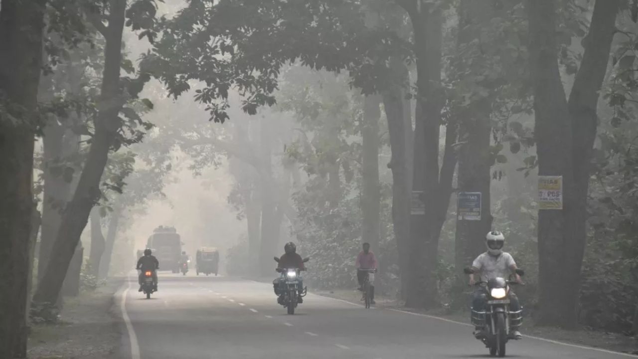 UP Cold: घने कोहरे की गिरफ्त में उत्तर प्रदेश, नोएडा से बस्ती तक ठिठुरन का कहर, IMD का रेड अलर्ट जारी