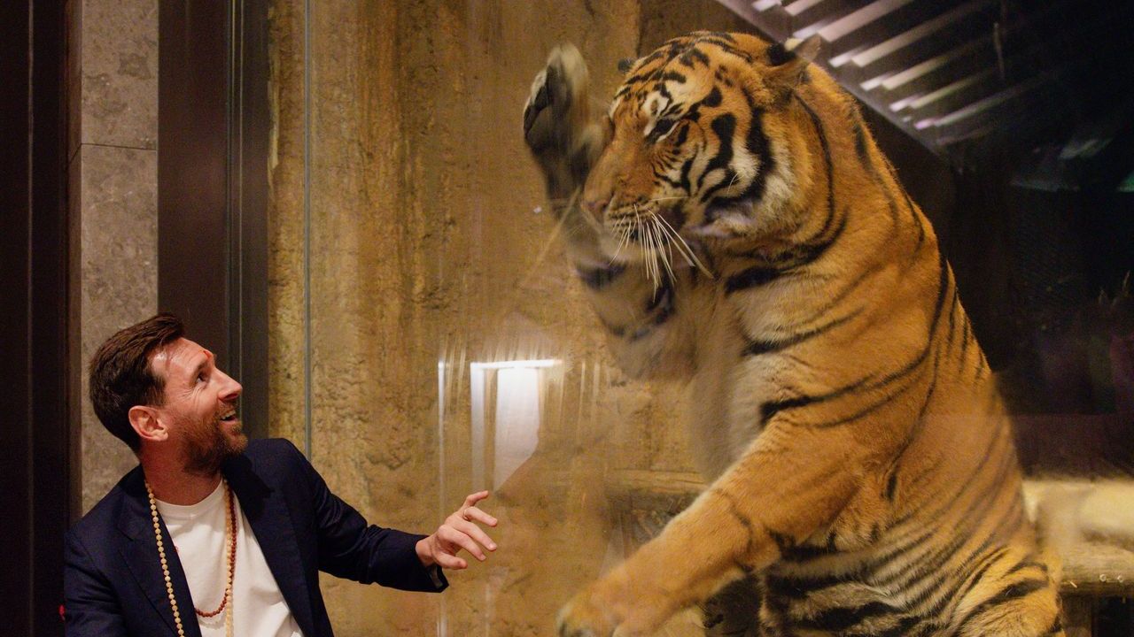 वंतारा में मेसी ने सफेद बाघों के बाड़े के पास समय बिताया। मजबूत कांच की दीवार के पार, बाघ अपने पिछले पैरों पर खड़ा होकर मेसी को निहार रहा था। मेसी ने मुस्कुराते हुए इस अद्भुत अनुभव का आनंद लिया और उनकी तस्वीरें भी खिंची गईं। यह पल वन्यजीवों के नजदीक आने का एक यादगार अनुभव था। (Img: X)