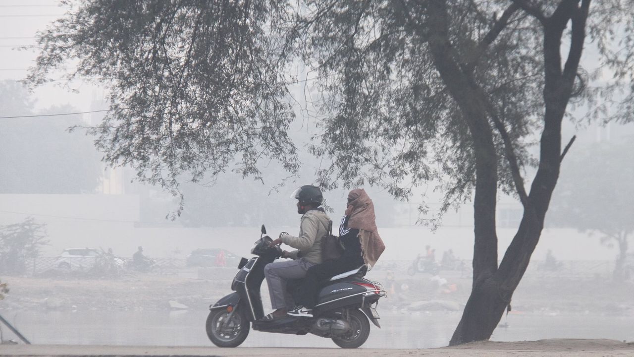 UP Weather Update: सर्द पछुआ हवाओं से कांपा उत्तर प्रदेश, घना कोहरा बना मुसीबत