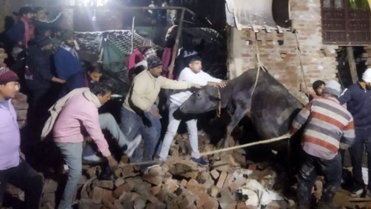 बागपत में दर्दनाक हादसा: निर्माणाधीन मकान का लिंटर गिरा, डेयरी संचालक के बेटे की मौत