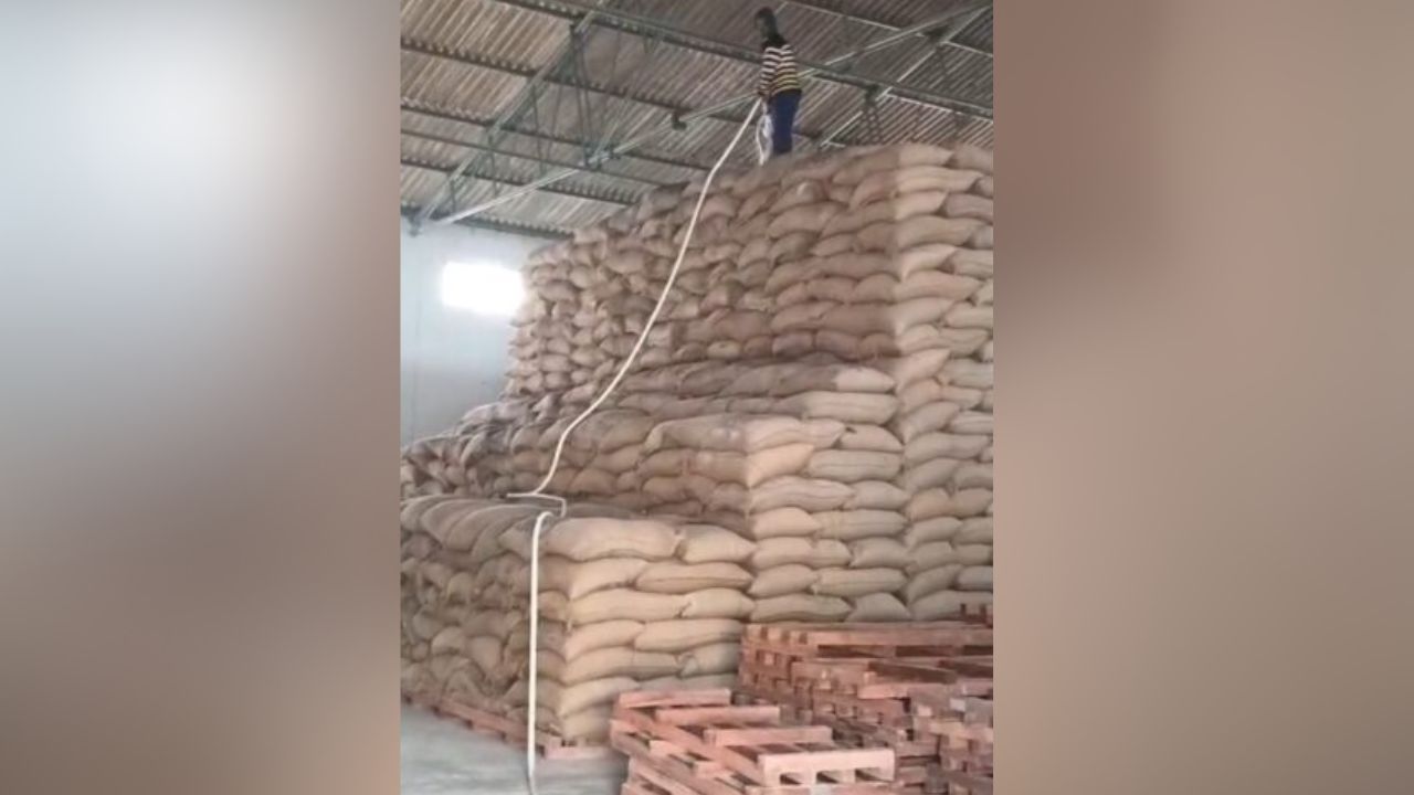 Balrampur News: गेहूं के वजन में भ्रष्टाचार का पानी, खुटेहना डिपो प्रभारी पर एक्शन