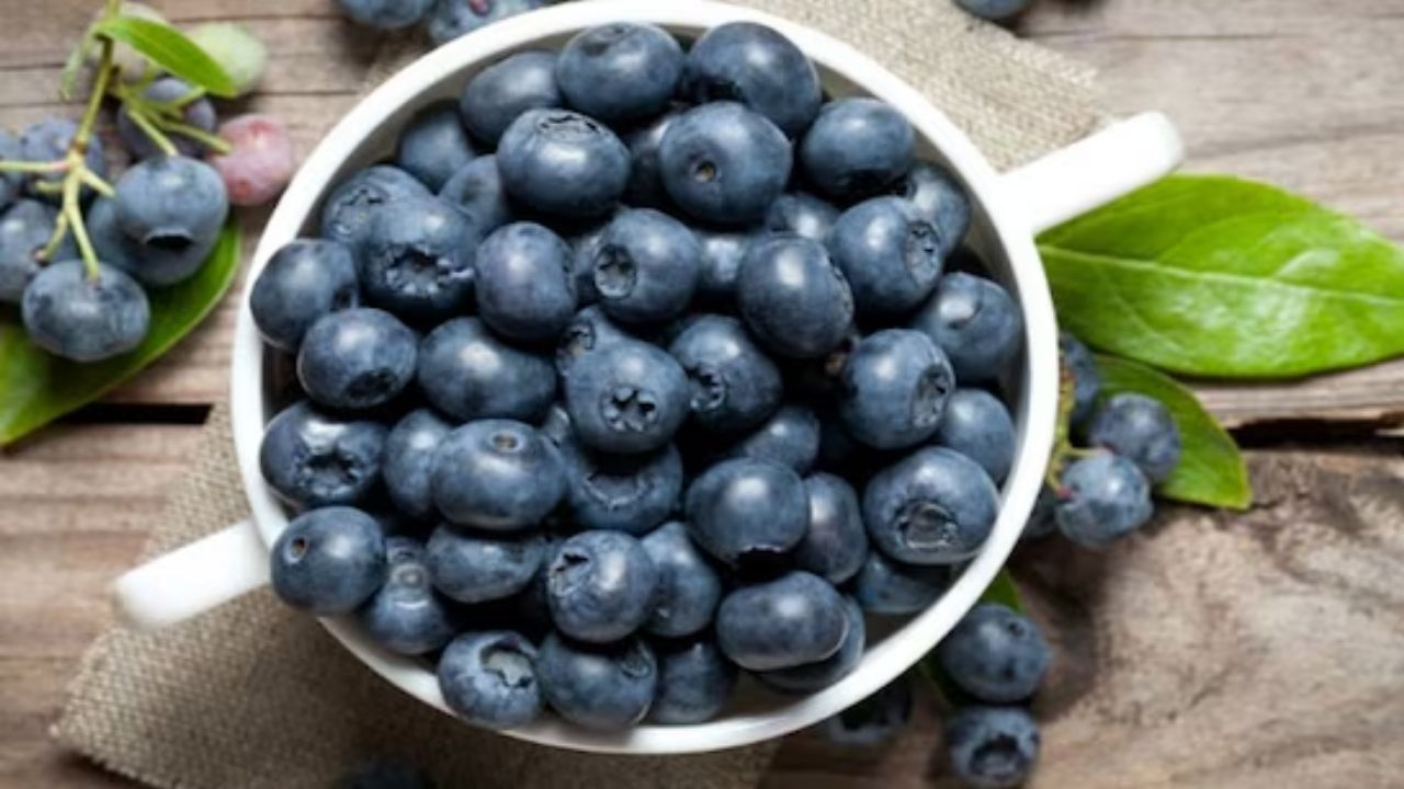 Blueberries Ke Fayde: बदलते मौसम में किसी औषधि से कम नहीं है ये फल, इन लोगों को जरूर खाना चाहिए