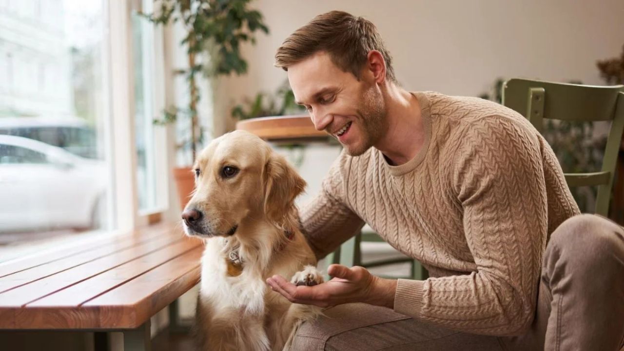 पालतू कुत्तों की लंबी उम्र का रहस्य, हर Pet Lovers को जानना चाहिए