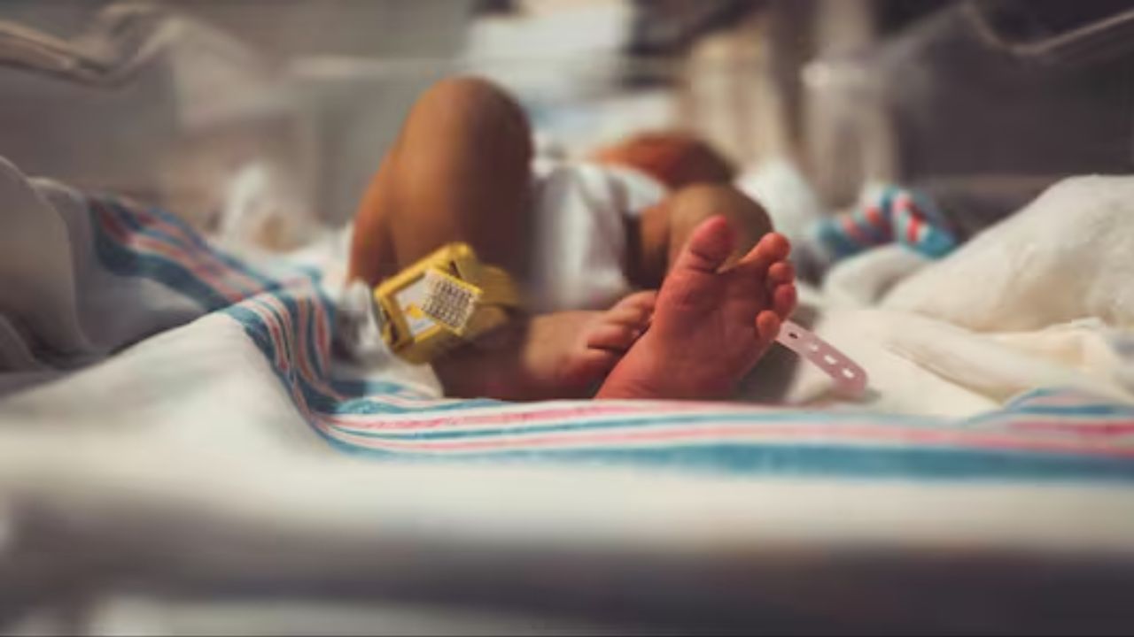 100 नहीं, 300 बच्चों के पिता? गेमिंग अरबपति जू बो को लेकर बड़ा खुलासा, सरोगेसी पर छिड़ी वैश्विक बहस