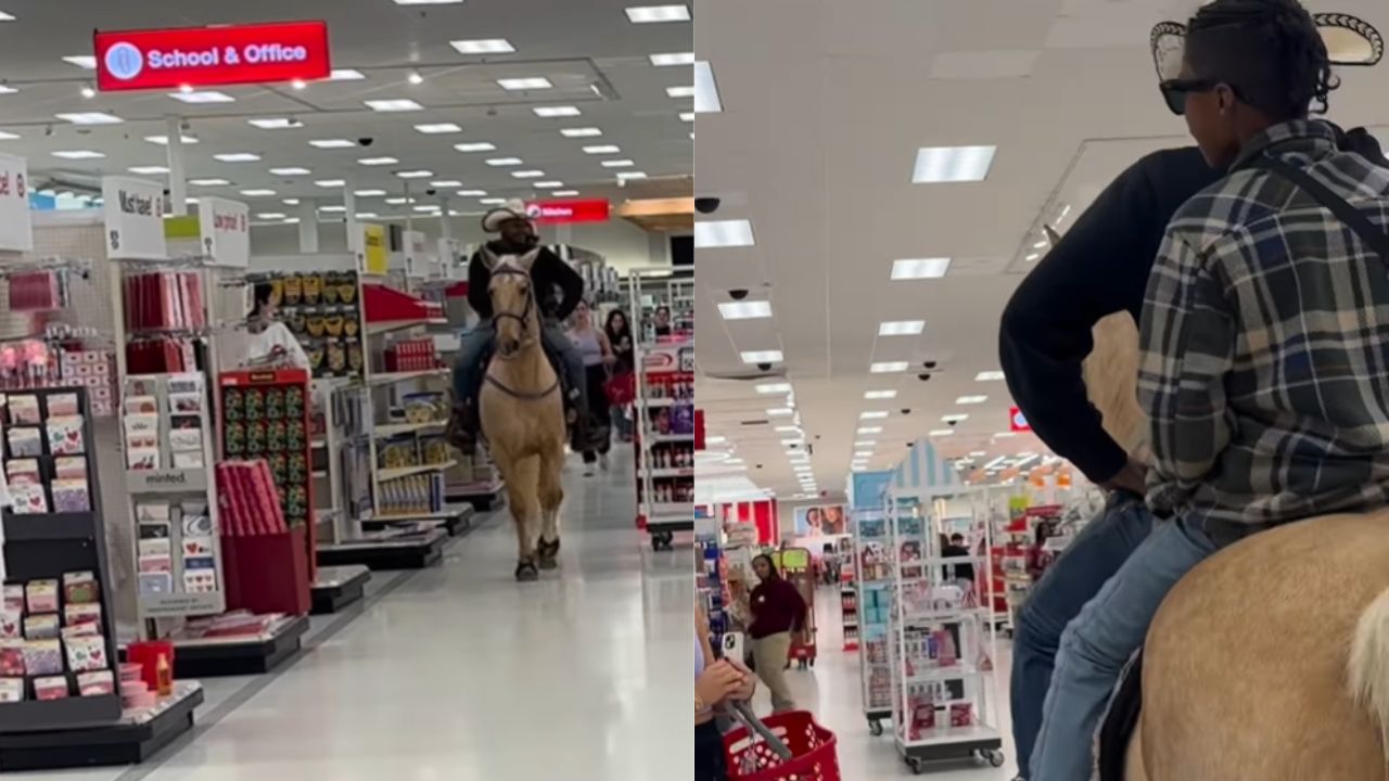 मॉल में पैदल नहीं, घोड़े पर घुसा शख्स! स्टोर के अंदर मचा हड़कंप, वीडियो देख लोग रह गए दंग