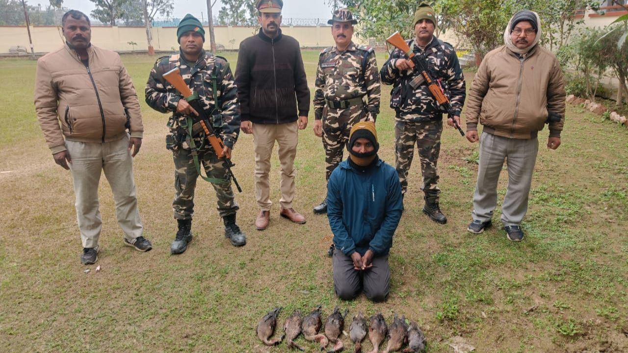 Maharajganj: नए साल के पहले दिन ठूठीबारी में विदेशी प्रजाति के पक्षी के साथ शिकारी गिरफ्तार