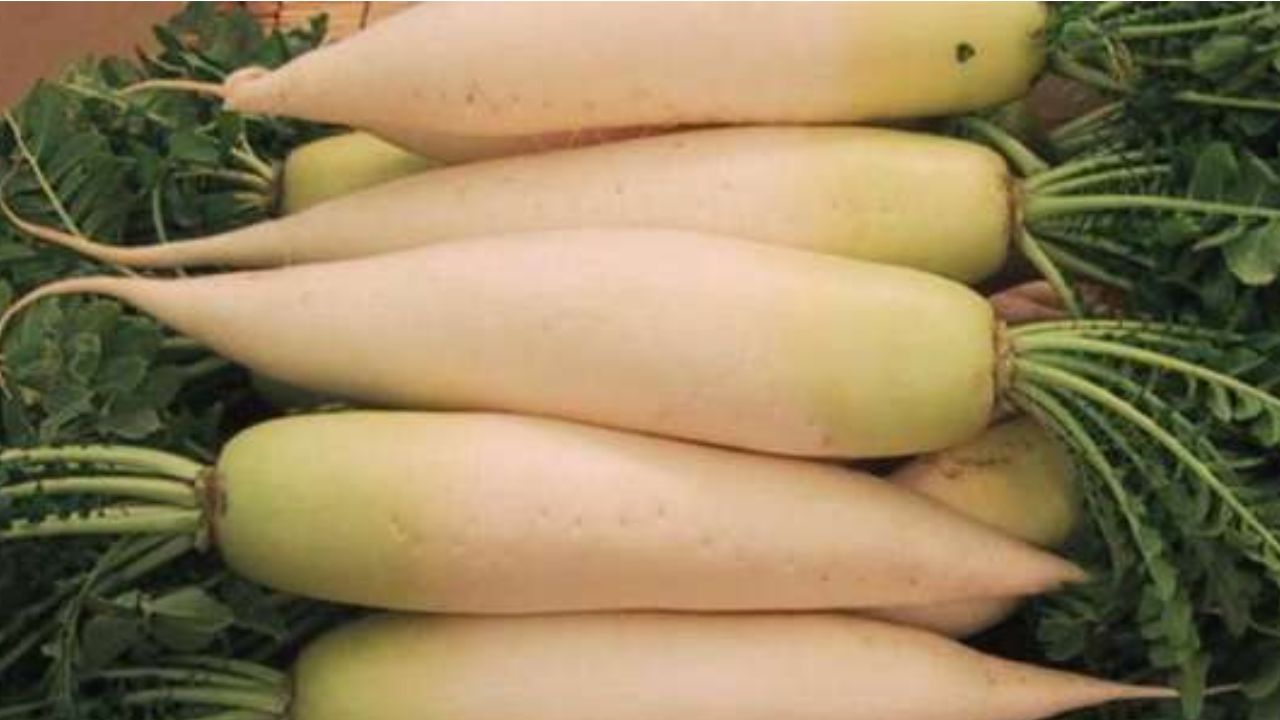 रात में मूली खाना सही या गलत?