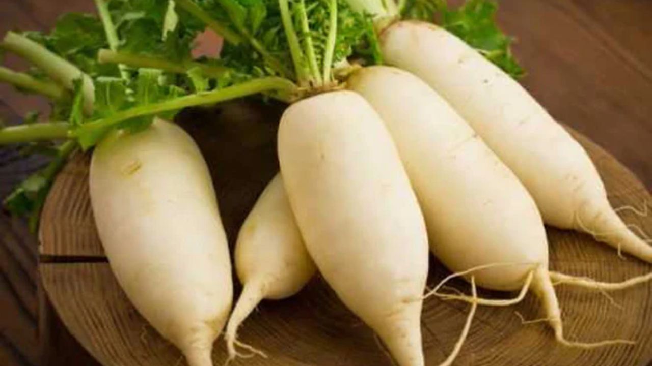 Winter Superfood: सर्दियों में मूली क्यों कहलाती है नैचुरल सुपरफूड? जानिए सही तरीका, समय और मात्रा