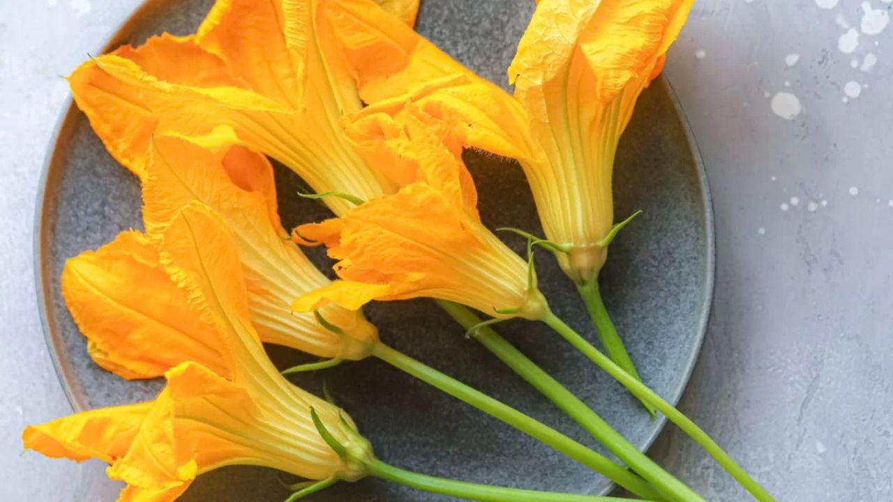 कद्दू के फूलों से क्रिस्पी पकोड़े और चटनी बनाई जाती है। पश्चिम बंगाल में इसे खास तौर पर बड़े चाव से खाया जाता है। (Img Source: Google) कद्दू के फूलों से क्रिस्पी पकोड़े और चटनी बनाई जाती है। पश्चिम बंगाल में इसे खास तौर पर बड़े चाव से खाया जाता है। (Img Source: Google)