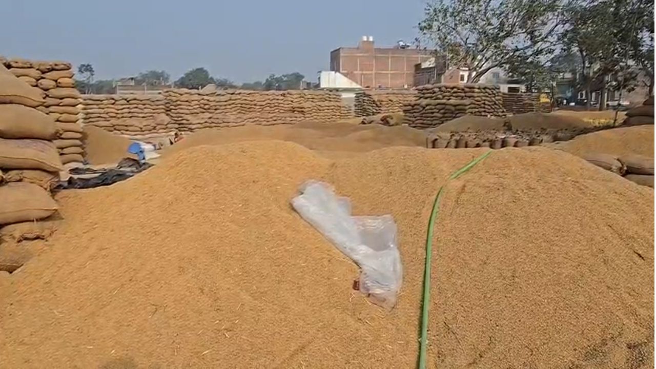 Video: धान खरीद में माफिया राज, तौल में कटौती से किसान बर्बाद