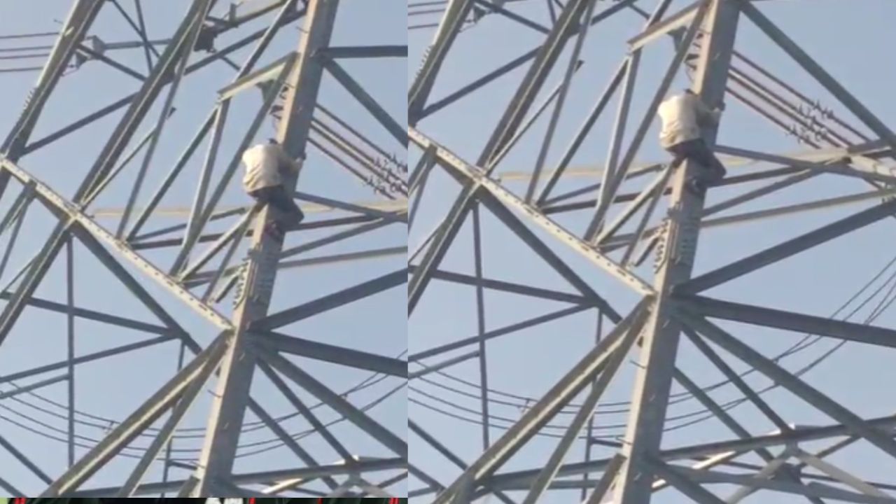 Sonbhadra News: नशे की हालत में बिजली टावर पर चढ़ा युवक, गिरकर दर्दनाक मौत