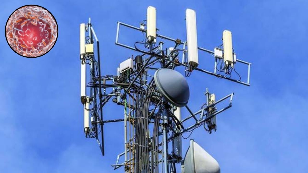 मोबाइल टावर से कैंसर? सरकार ने किया बड़ा खुलासा, जानें क्या है सच और क्या अफवाह