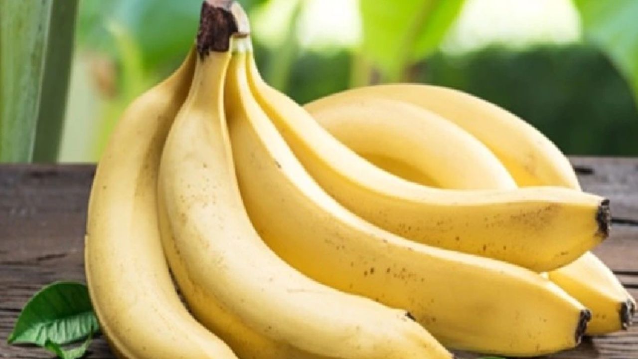 केले में मौजूद फोलिक एसिड और फाइबर शरीर में विटामिन बी12 की कमी को संतुलित करने में सहायक होते हैं। यह शरीर को तुरंत ऊर्जा देता है और थकान व कमजोरी से राहत दिलाता है। ठंड के मौसम में केला रोजाना खाने से शरीर सक्रिय और फिट बना रहता है।(फोटो सोर्स- इंटरनेट) केले में मौजूद फोलिक एसिड और फाइबर शरीर में विटामिन बी12 की कमी को संतुलित करने में सहायक होते हैं। यह शरीर को तुरंत ऊर्जा देता है और थकान व कमजोरी से राहत दिलाता है। ठंड के मौसम में केला रोजाना खाने से शरीर सक्रिय और फिट बना रहता है।(फोटो सोर्स- इंटरनेट)