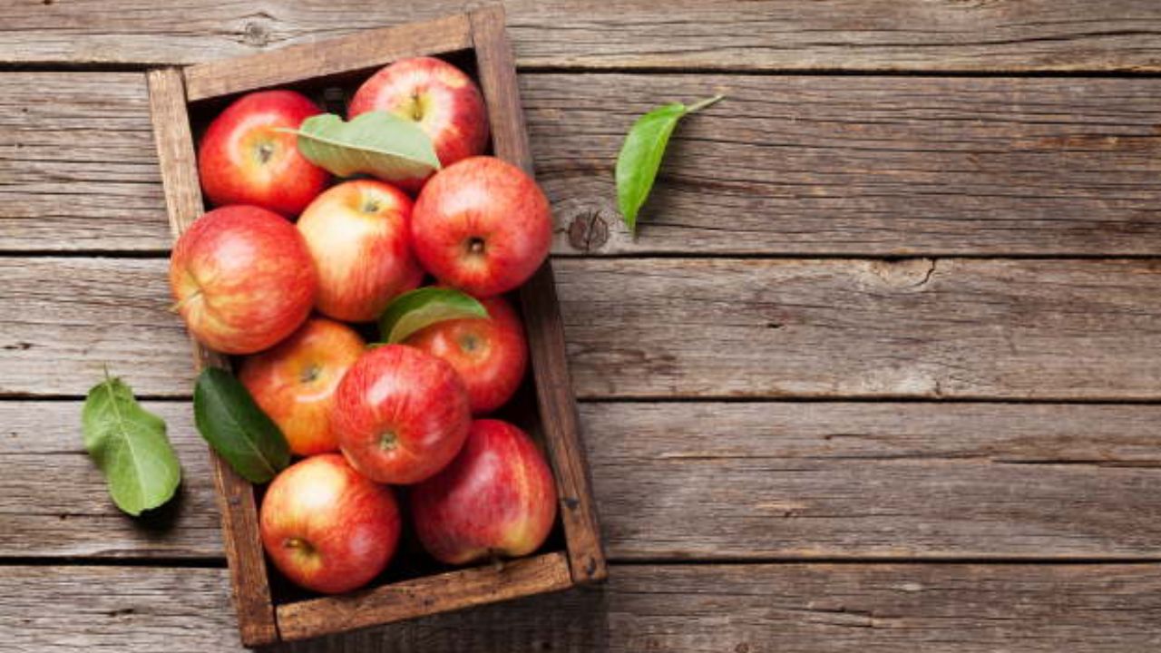 सेब सीधे तौर पर विटामिन बी12 का स्रोत नहीं है, लेकिन इसमें मौजूद फाइबर, एंटीऑक्सीडेंट और अन्य जरूरी विटामिन शरीर में बी12 के बेहतर अवशोषण में मदद करते हैं। नियमित सेब खाने से पाचन मजबूत होता है, ऊर्जा मिलती है और ठंड के मौसम में इम्युनिटी भी बेहतर बनी रहती है।(फोटो सोर्स- इंटरनेट) सेब सीधे तौर पर विटामिन बी12 का स्रोत नहीं है, लेकिन इसमें मौजूद फाइबर, एंटीऑक्सीडेंट और अन्य जरूरी विटामिन शरीर में बी12 के बेहतर अवशोषण में मदद करते हैं। नियमित सेब खाने से पाचन मजबूत होता है, ऊर्जा मिलती है और ठंड के मौसम में इम्युनिटी भी बेहतर बनी रहती है।(फोटो सोर्स- इंटरनेट)