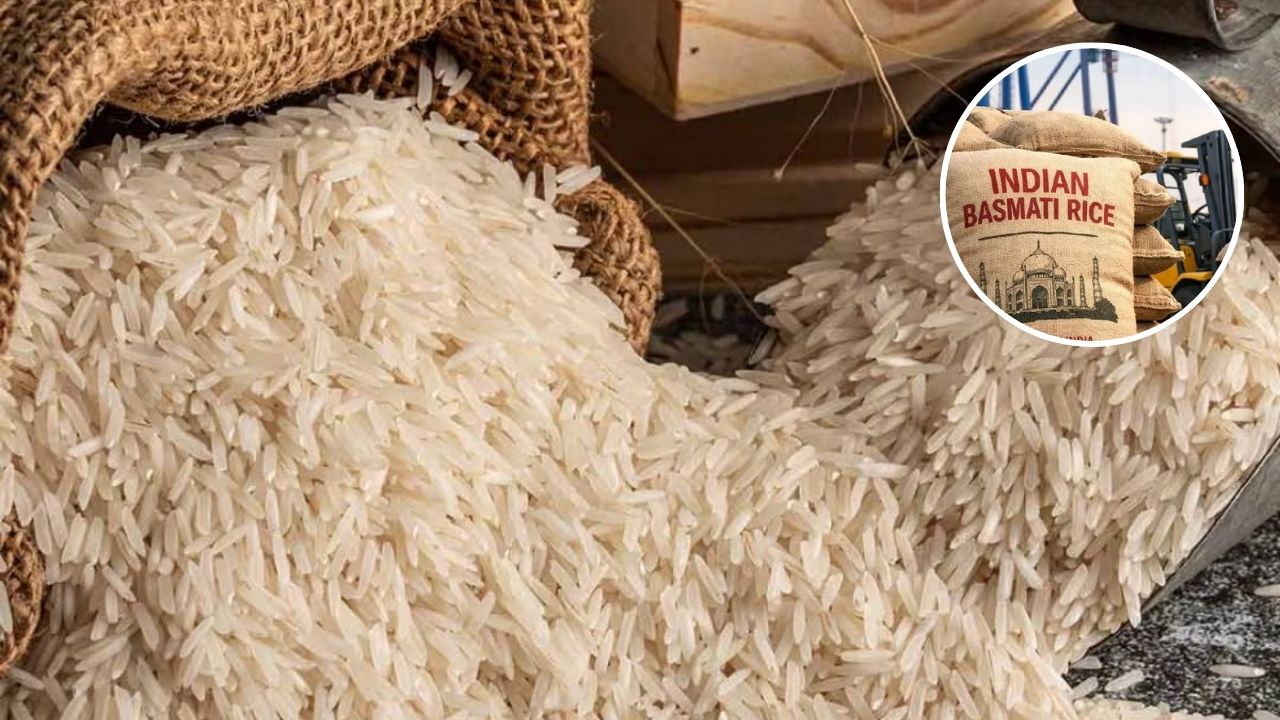 Iran Crisis Hits Basmati: अचानक क्यों सस्ता हो गया भारतीय बासमती चावल? सामने आई ये बड़ी वजह