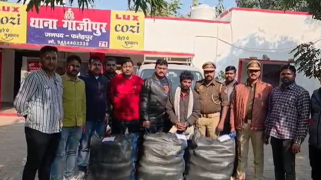 फतेहपुर में पुलिस, इंटेलिजेंस विंग और SOG की बड़ी कार्रवाई, अंतर्राज्यीय गांजा तस्कर गिरफ्तार