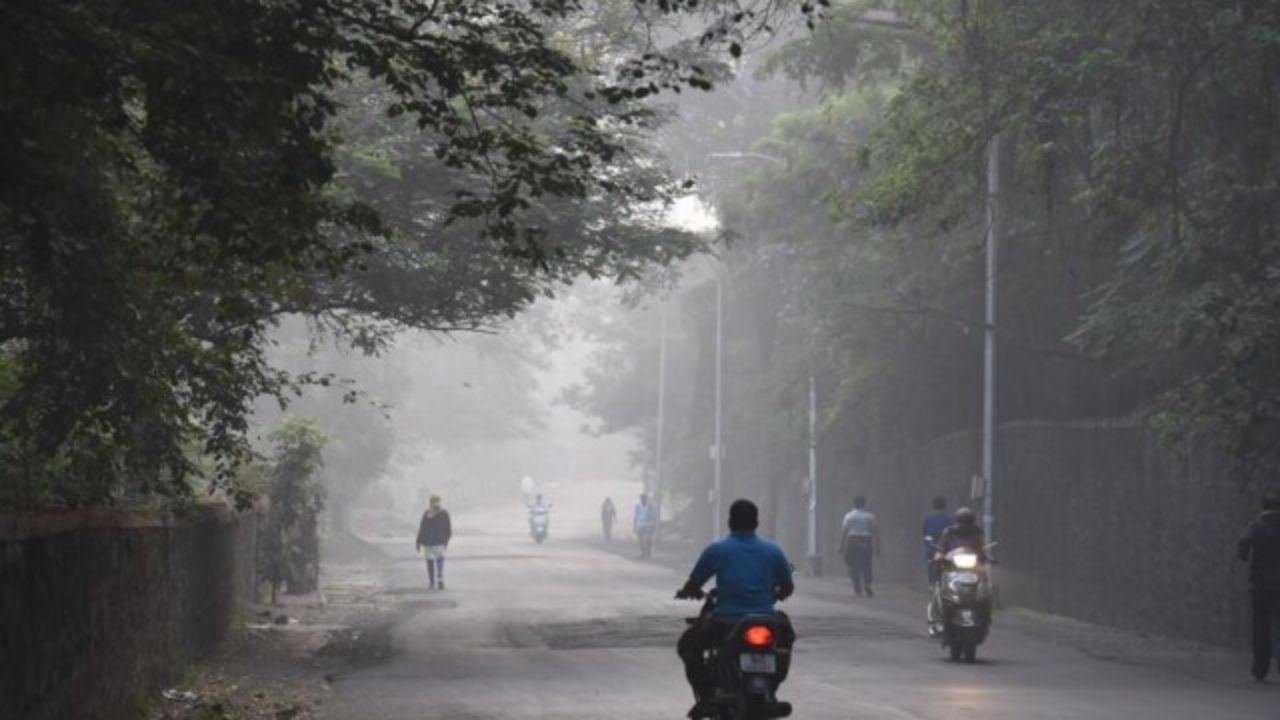 ठंड ने बढ़ाई मुश्किलें: घना कोहरा और शीतलहर से कांपा उत्तर भारत, IMD ने जारी किया अलर्ट