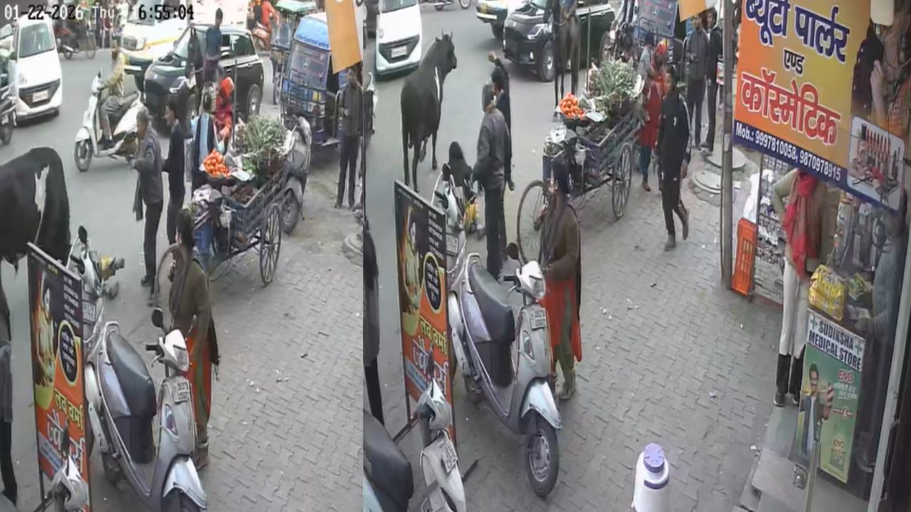 देहरादून: डोईवाला में खुले घूम रहे सांड बने खतरा, महिला को पटका, देखिए वीडियो