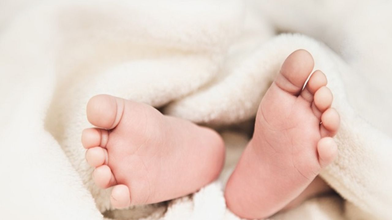 नोएडा पुलिस के पास पहुंची दादी, कहा- बहू और बेटे ने पोता बेच दिया, मामले में अब आया नया ट्विस्ट