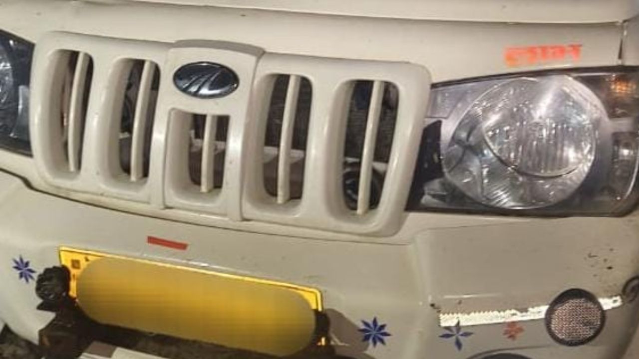 महराजगंज में गोतस्करी पर बड़ी कार्रवाई, पिकअप पलटी, 8 गोवंश बरामद और 4 की मौत