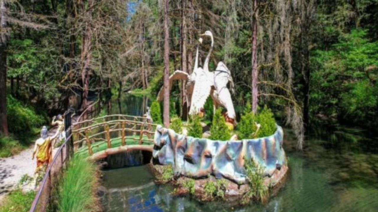 नैनीताल के जंगलों में रंगीन परिंदों की एंट्री, विदेशी पक्षियों की चहल-पहल बढ़ी