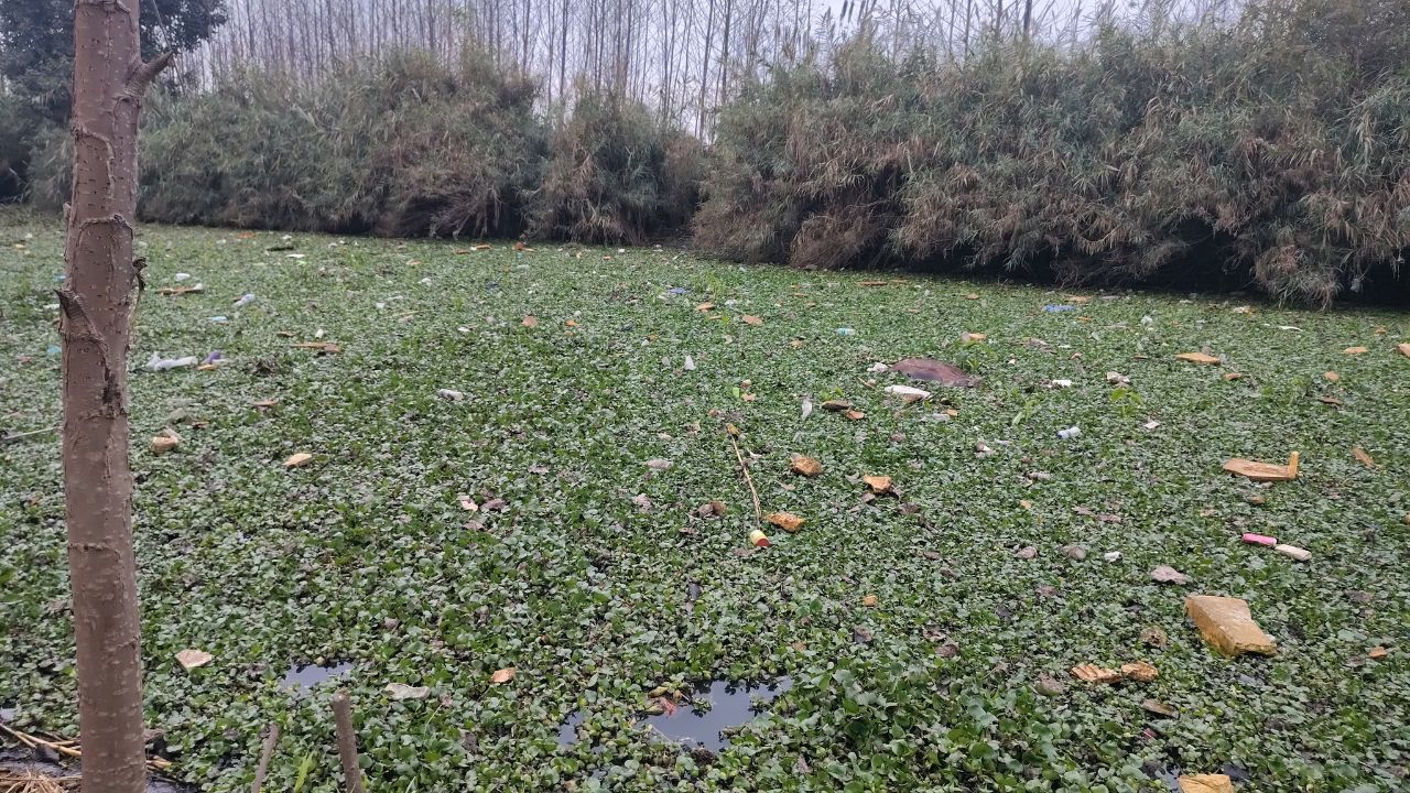 UP News: मुजफ्फरनगर में काली नदी से ये क्या मिला? इलाके में मचा हड़कंप