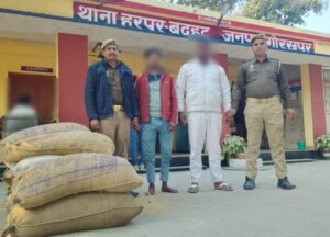 गोरखपुर: हरपुर बुदहट पुलिस की बड़ी कार्रवाई, राइस मिल चोरी का खुलासा,10 बोरी धान के साथ दो शातिर गिरफ्तार