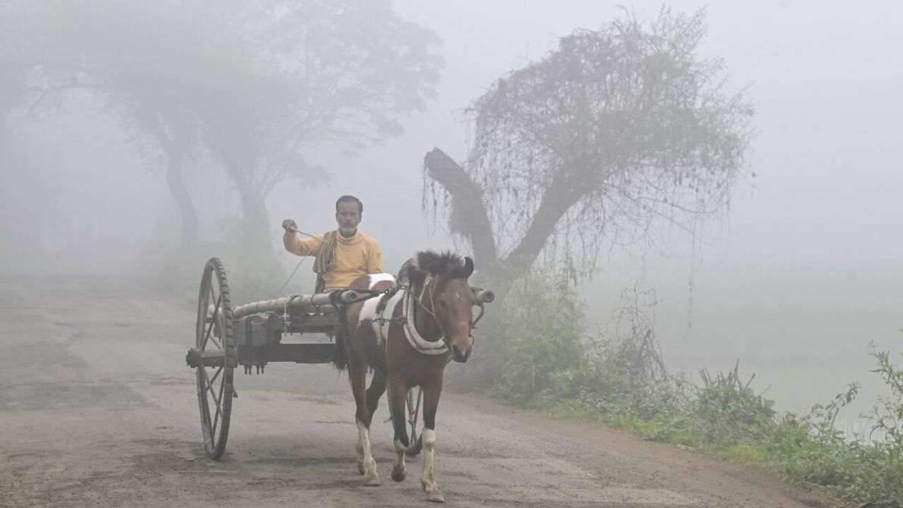 मौसम विभाग के अनुसार, आज उत्तर प्रदेश के करीब 25 शहरों में शीत लहर का प्रकोप बना रहेगा। लखनऊ, अयोध्या, बाराबंकी, कानपुर, चित्रकूट सहित कई जिलों में घना कोहरा छाया रहेगा। कोहरे के कारण सड़कों पर दृश्यता बेहद कम रहने की आशंका है, जिससे वाहन चालकों को विशेष सावधानी बरतने की सलाह दी गई है। वहीं, तापमान में और गिरावट दर्ज हो सकती है। (Img: Google)