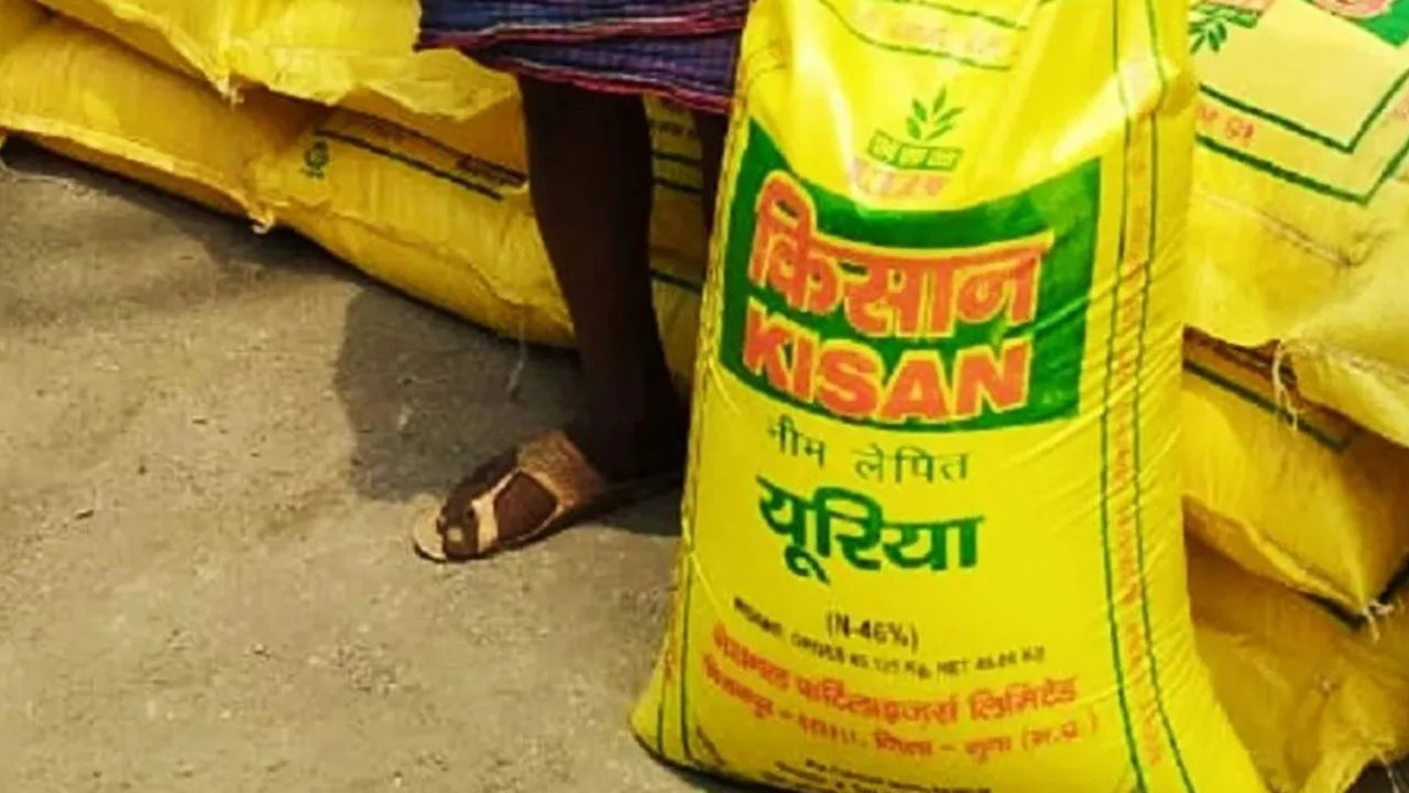 Gorakhpur: खजनी तहसील में यूरिया की किल्लत, किसानों की बढ़ी परेशानी