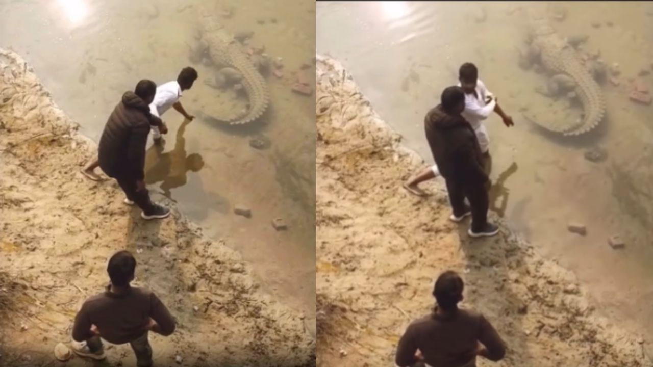 क्या ये वीडियो AI है या हकीकत? Viral Video पर यूजर्स ने दिया ऐसा रिएक्शन