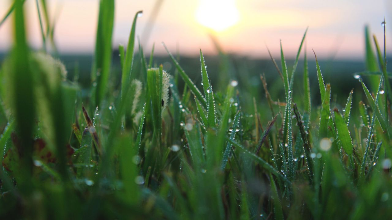 मौसम विभाग ने सोमवार को 13 से अधिक जिलों में घने कोहरे का ऑरेंज अलर्ट जारी किया है। इसके साथ ही करीब 22 जिलों में शीत दिवस की स्थिति बनने की आशंका जताई गई है, जहां दिन का तापमान सामान्य से काफी नीचे रह सकता है। हालात को देखते हुए कई जिलों में स्कूलों को बंद रखने का निर्णय लिया गया है। IMD का कहना है कि फिलहाल प्रदेश में मौसम शुष्क बना रहेगा, लेकिन ठंड से राहत मिलने के आसार नहीं हैं।  (Img: Google)