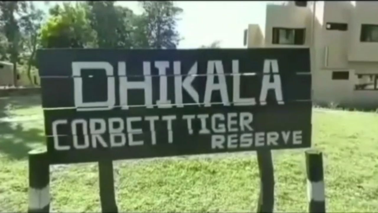 सुप्रीम कोर्ट का बड़ा आदेश, कॉर्बेट टाइगर रिजर्व में सफारी के दौरान मोबाइल फोन पर पूरी तरह बैन