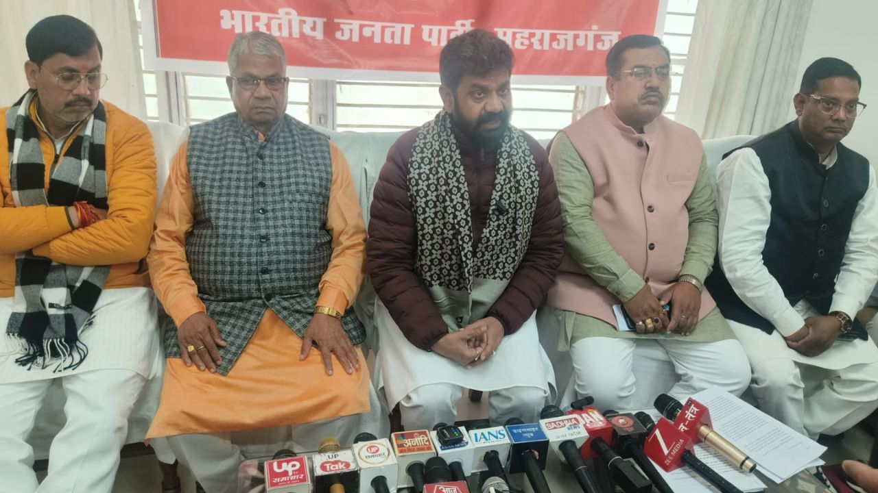 Watch Video: केंद्रीय आयुष मंत्री ने बजट को बताया विकसित भारत की मजबूत नींव, देखिये खास बातचीत में क्या बोले