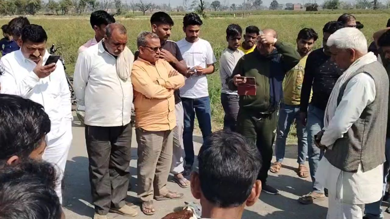 अनियंत्रित ट्रक ने मचाई तबाही, चालक की लापरवाही से मैनपुरी में दर्जनों बकरियों की दर्दनाक मौत, मचा हड़कंप