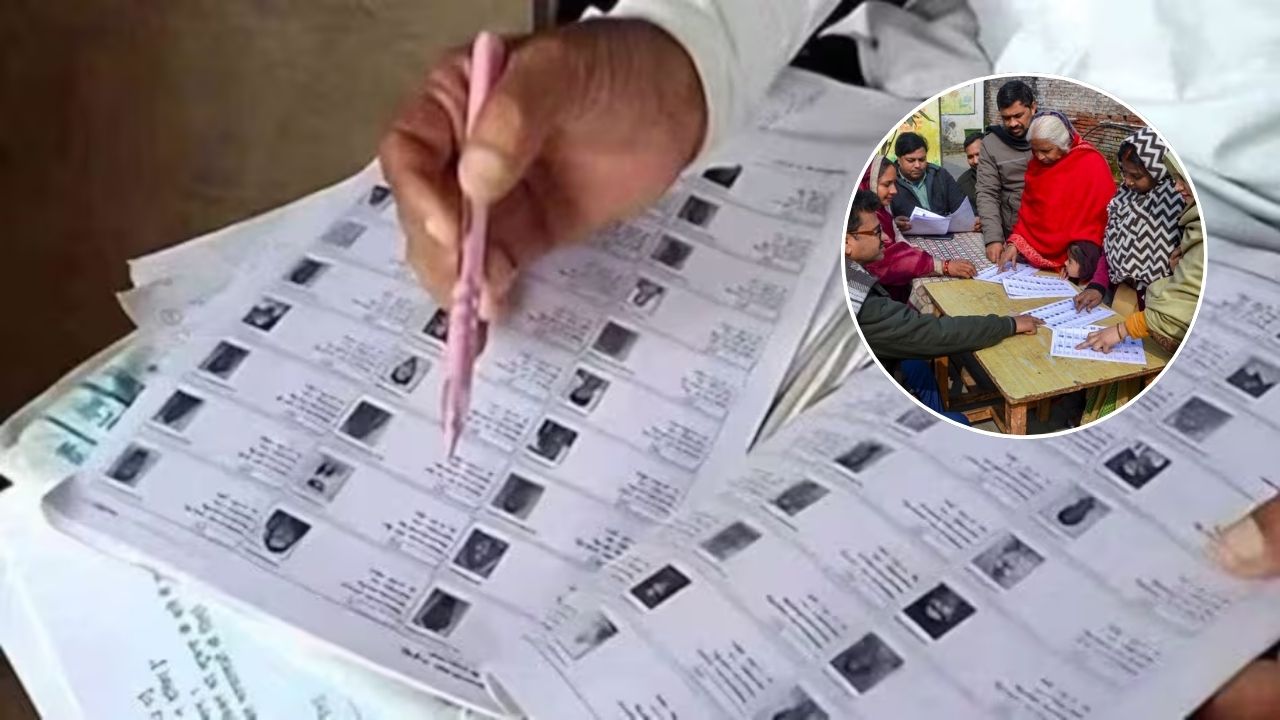 DN Exclusive: क्या कहता है SIR का इतिहास, चुनाव आयोग ने कब-कब मांगे नागरिकता के सबूत; जानिये सबकुछ