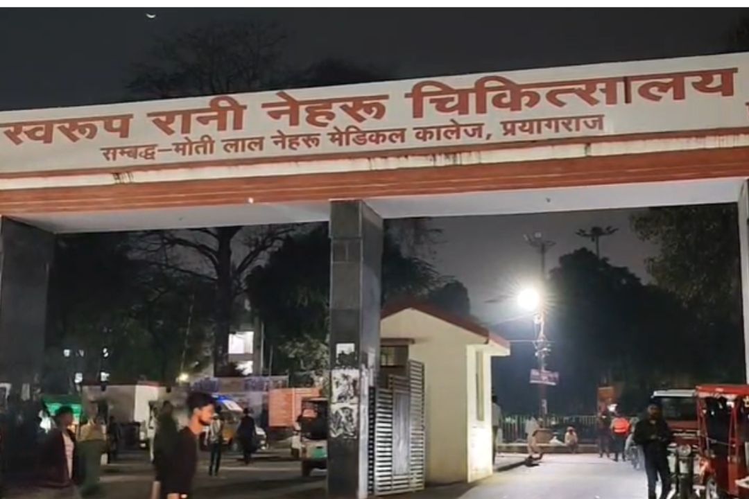 Prayagraj News: आजाद पार्क में मधुमक्खियों का हमला, कई स्कूली बच्चियां घायल; जानें पूरा मामला