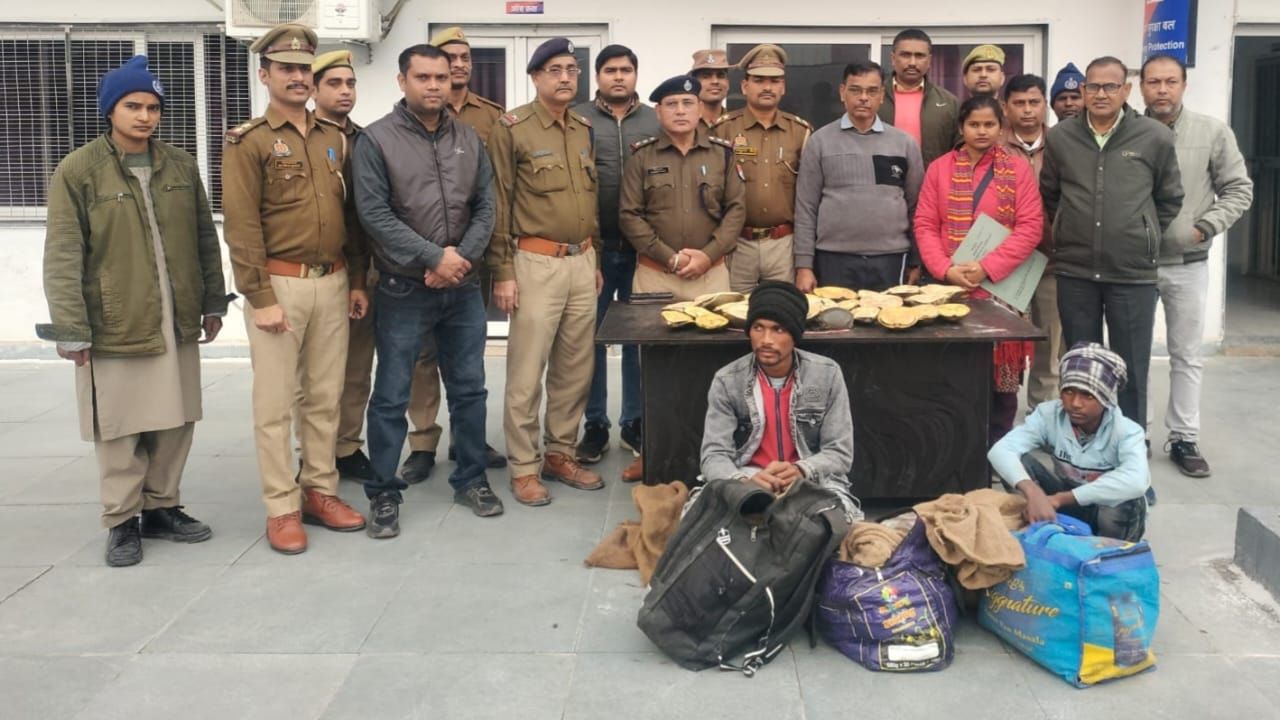 फतेहपुर में वन्यजीव तस्करी का भंडाफोड़, 148 कछुओं के साथ दो तस्कर गिरफ्तार; RPF ने पकड़ी 40 लाख की खेप